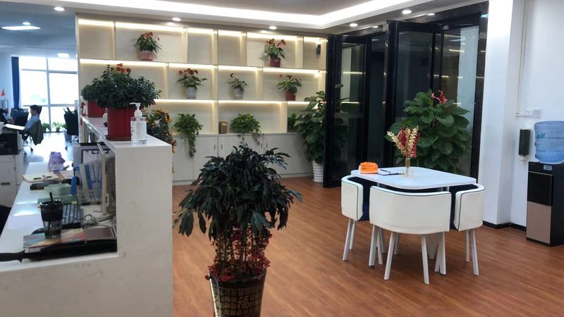 如何编制一份高质量可行性研究报告：实用步骤解析